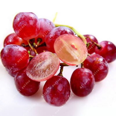 องุ่น รูบี้ โรมัน (Ruby Roman Grape) / 10 เม็ด