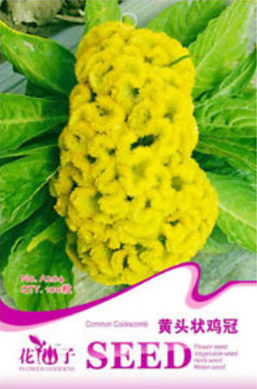 หงอนไก่ (Cockscomb) เหลือง / ซอง 100 เม็ด (A204)