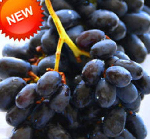องุ่นดำเคียวโฮ (Kyoho Grape) ไร้เมล็ด / 100 เม็ด