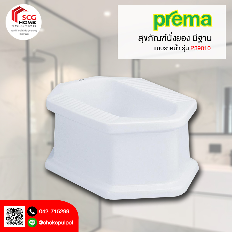 Prema P39010 สุขภัณฑ์นั่งยองมีฐาน ราดน้ำ