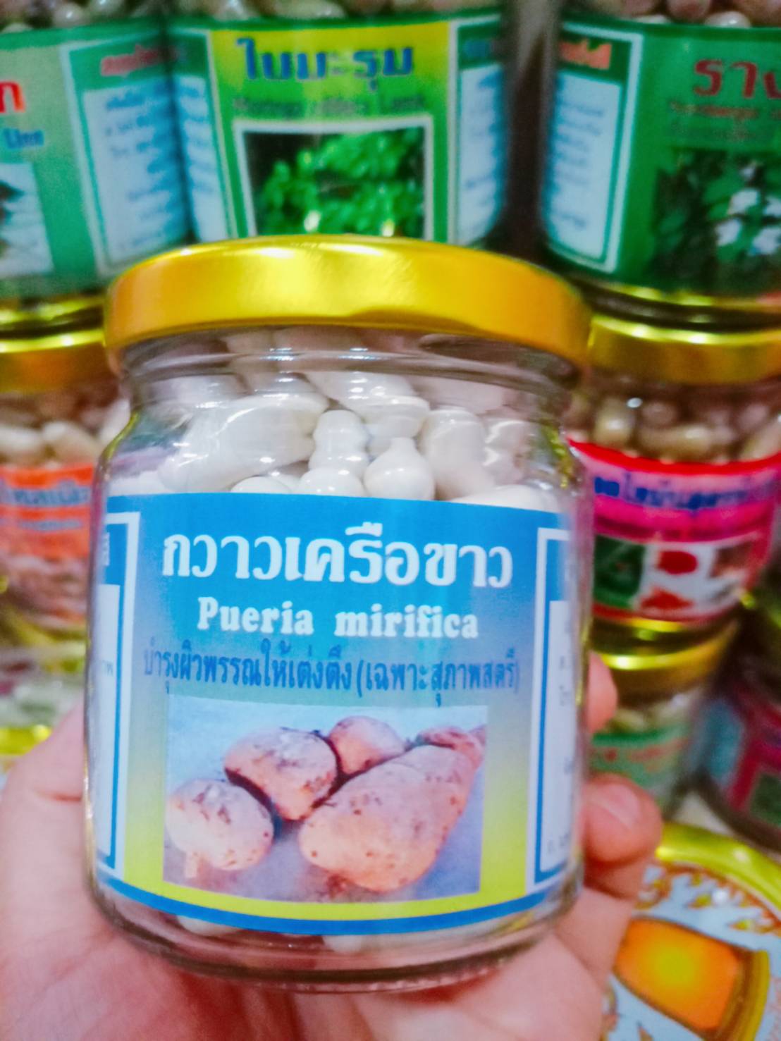 คราวเครือขาว สมุนไพรพรหมรังสี