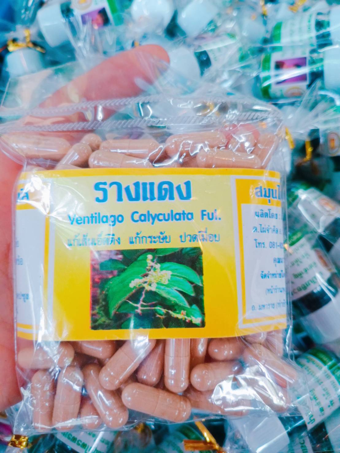 รากแดง พรหมรังสี