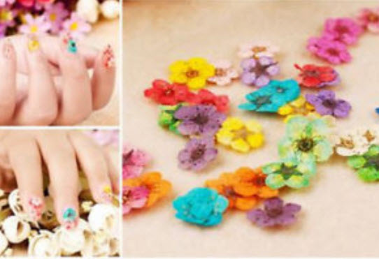ตลับดอกไม้แห้งจริงแต่งเล็บ 3 มิติ / ตลับ 12 สี (นอก)