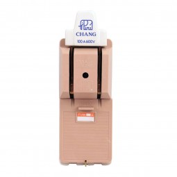 CHANG คัทเอาท์ 2P ขนาด 100A