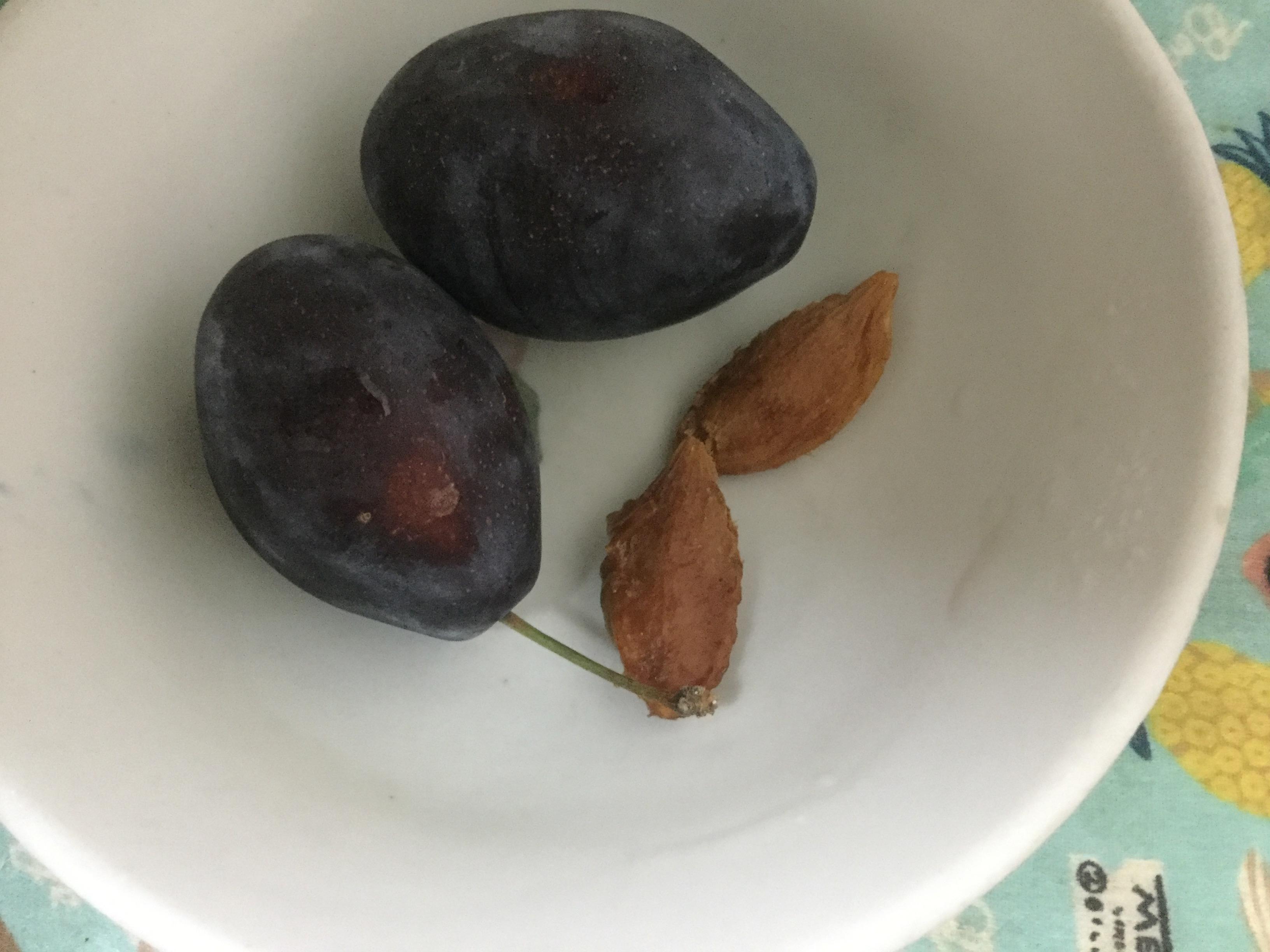 เมล็ดพรุนสด (fresh prune) / 2 เม็ด (Georgia)