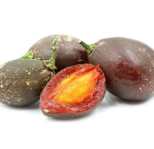 ต้นพีนัท บัทเตอร์ (Peanut Butter) / ต้นเนยถั่ว สูง 60-80 ซ.ม.