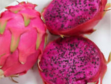 แก้วมังกรม่วง (Purple Pitaya) / 100 เม็ด