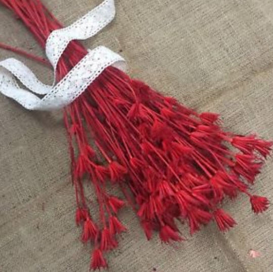 รักในสายหมอก (Love in a Mist / Nigellla damascena) สีแดง / 40 เม็ด (Ukraine)