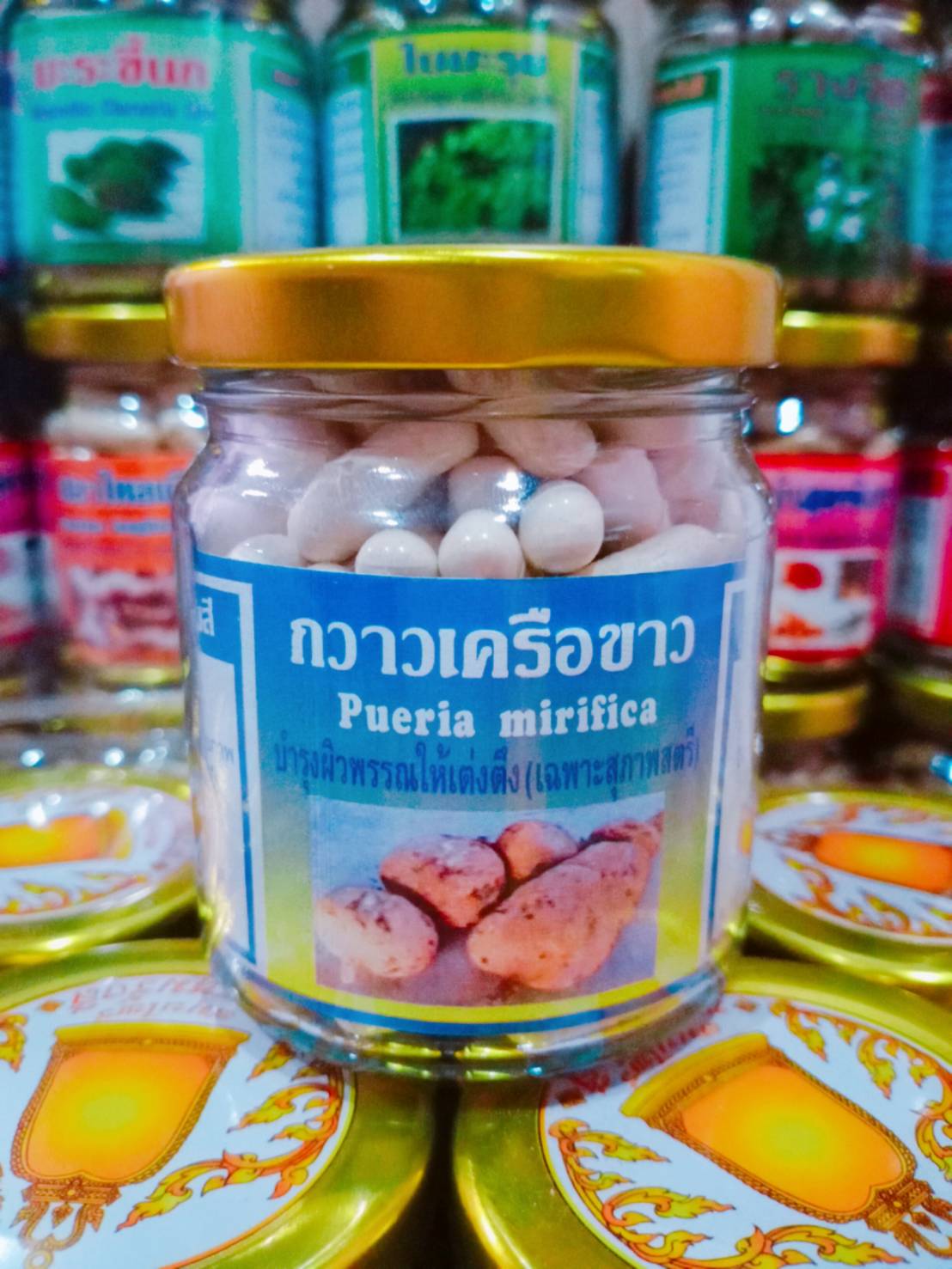 คราวเครือขาว สมุนไพรพรหมรังสี