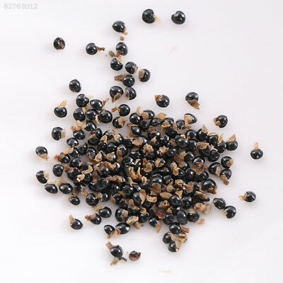 พาสคิว ฟลาวเวอร์แดง (Pasque flower Red) / 35 เม็ด (นอก)