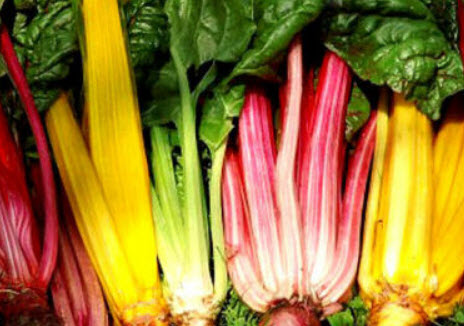 สวิสชาร์ด เรนโบว์ (Swiss Chard Rainbow) / 150 เม็ด (UK)