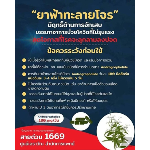 สารสกัดฟ้าทะลายโจรแคปซูล 20มก. (2แผงx10แคปซูล) ไฟโตแคร์ องค์การเภสัชกรรม