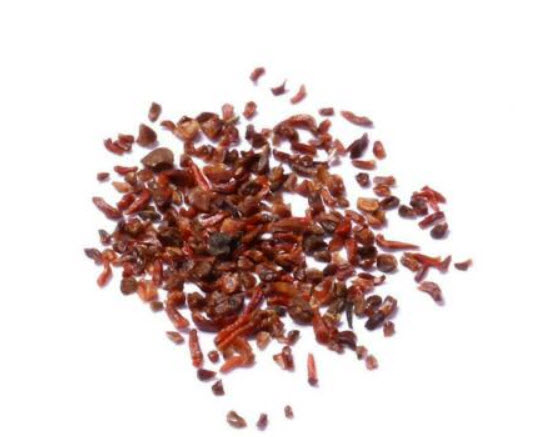 ไทร บอนไซ (Weeping Fig) / 20 เม็ด (นอก)