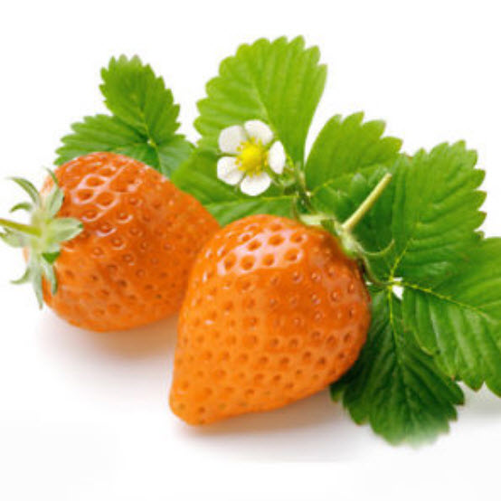 สตรอเบอรี่ สีส้ม (Orange Strawberry) / 100 เม็ด