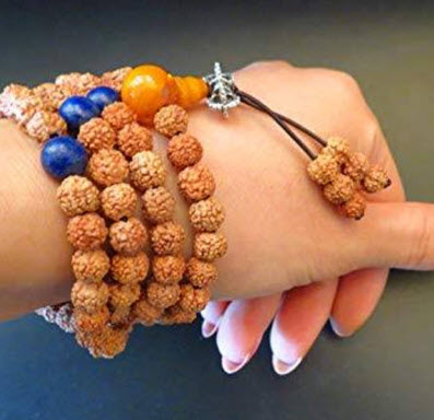 ต้นรุทรักษะ หรือ น้ำตาพระศิวะ กระถาง 8 นิ้ว สูง 20-30 ซ.ม.