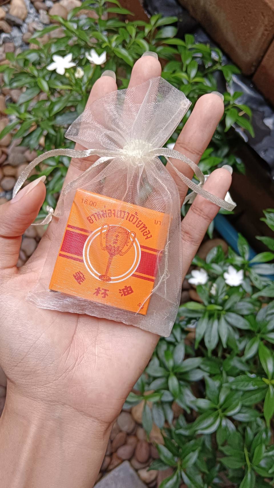 ยาหม่องถ้วยทอง 4 กรัม