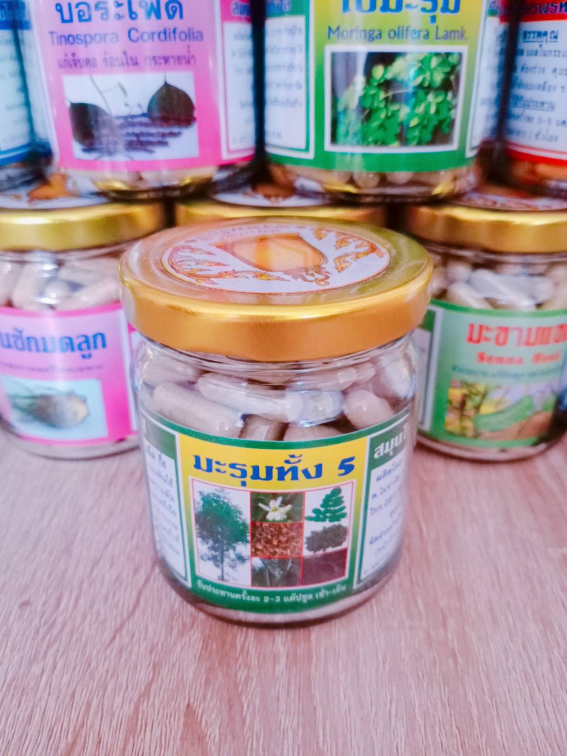 มะรุมทั้ง 5 พรหมรังสี