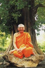 พระคำข้าวหลวงพ่อฤาษีลิงดำ วัดท่าซุง 03