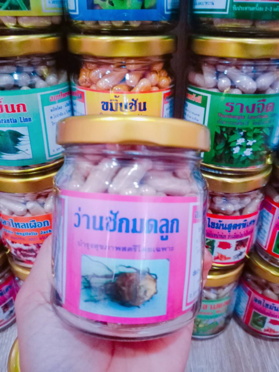 ว่านชักมดลูก สมุนไพรพรหมรังสี