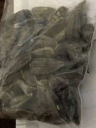 ทานตะวันสีฟ้า (Blue Sunflower) / 15 เม็ด (Vietnam)