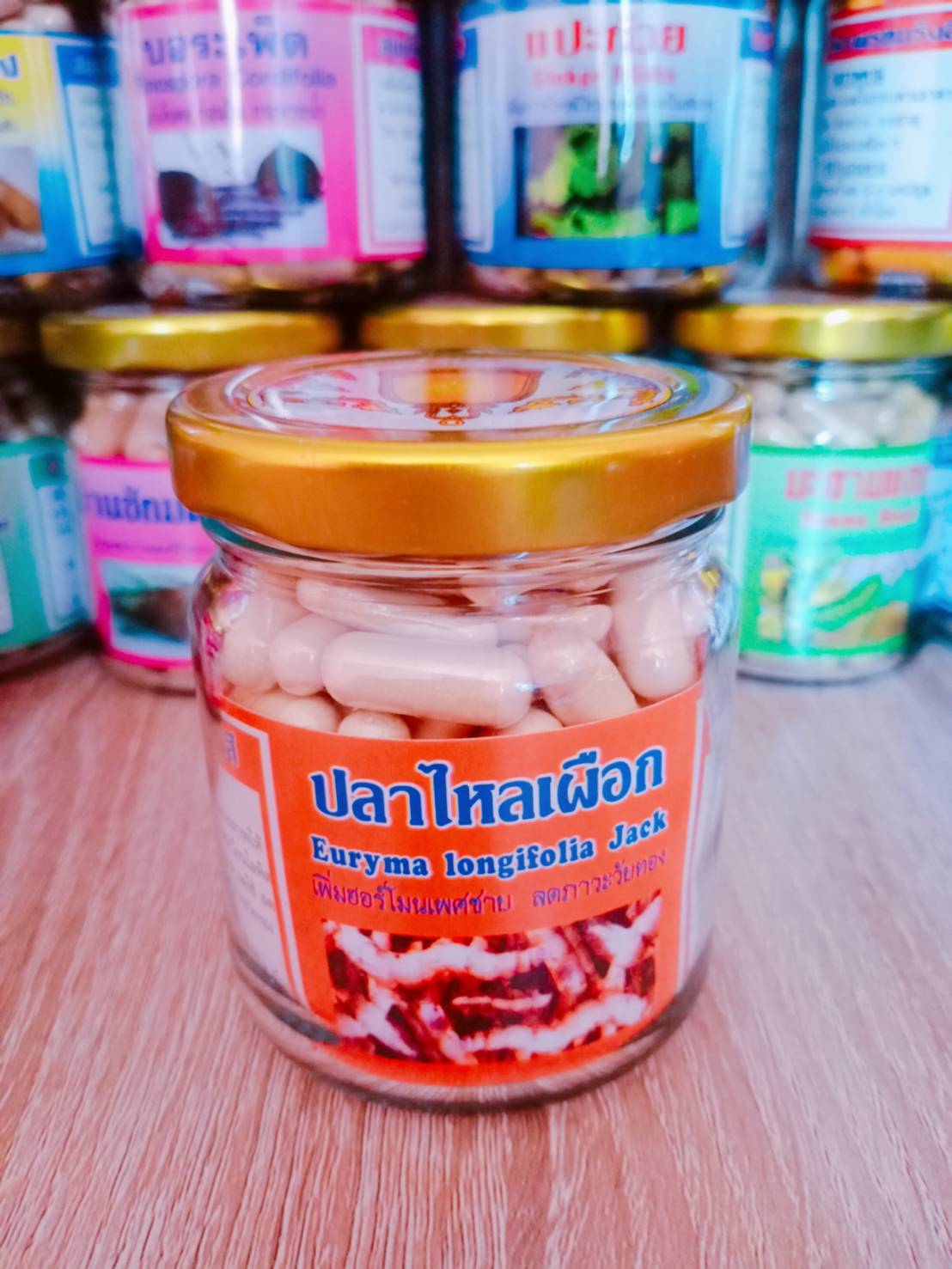 ปลาไหลเผือก พรหมรังสี