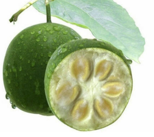 หล่อฮังก๊วย (Luo Han Guo / Siraitia Grosvenori) / 5 เม็ด (China)