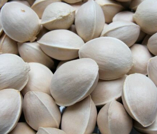 แปะก๊วยสีทอง (Gold Ginkgo) / 5 เม็ด