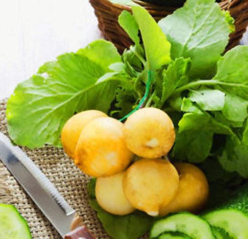 ไชเท้า สลาต้า (Radish Zlata) สีเหลือง / 400 เม็ด (UK)