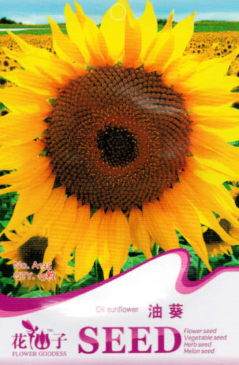ทานตะวันน้ำมัน (Oil sunflower) / ซอง 15 เม็ด (A135)