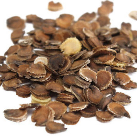 ฮอลลี่ฮ็อค คละสี (Hollyhock) / 100 เม็ด