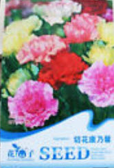 คาร์เนชั่น (Carnation) คละสี / ซอง 30 เม็ด (J006)