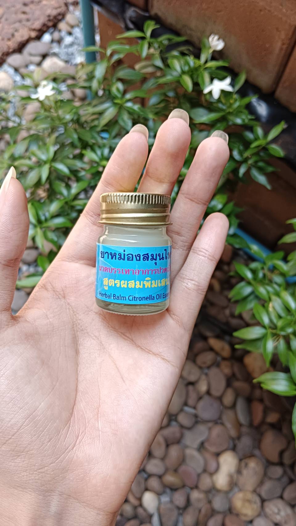 ยาหม่องสมุนไพร หงส์ไทย