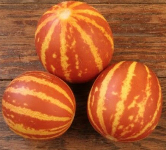 แตงอาร์เมเนีย หรือแตงลายเสือ (Tigger Melon) / 10 เม็ด