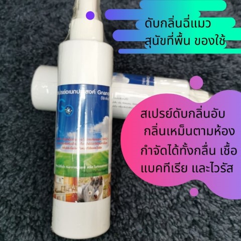 สเปรย์ดับกลิ่นฉี่แมว