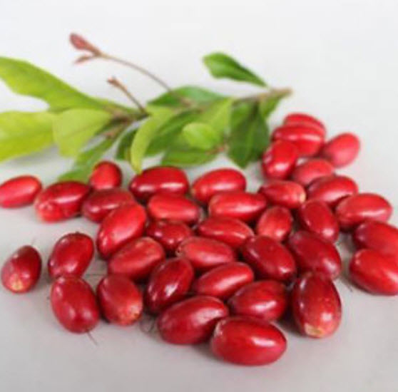 มิราเคิล (Miracle) / 10 เม็ด