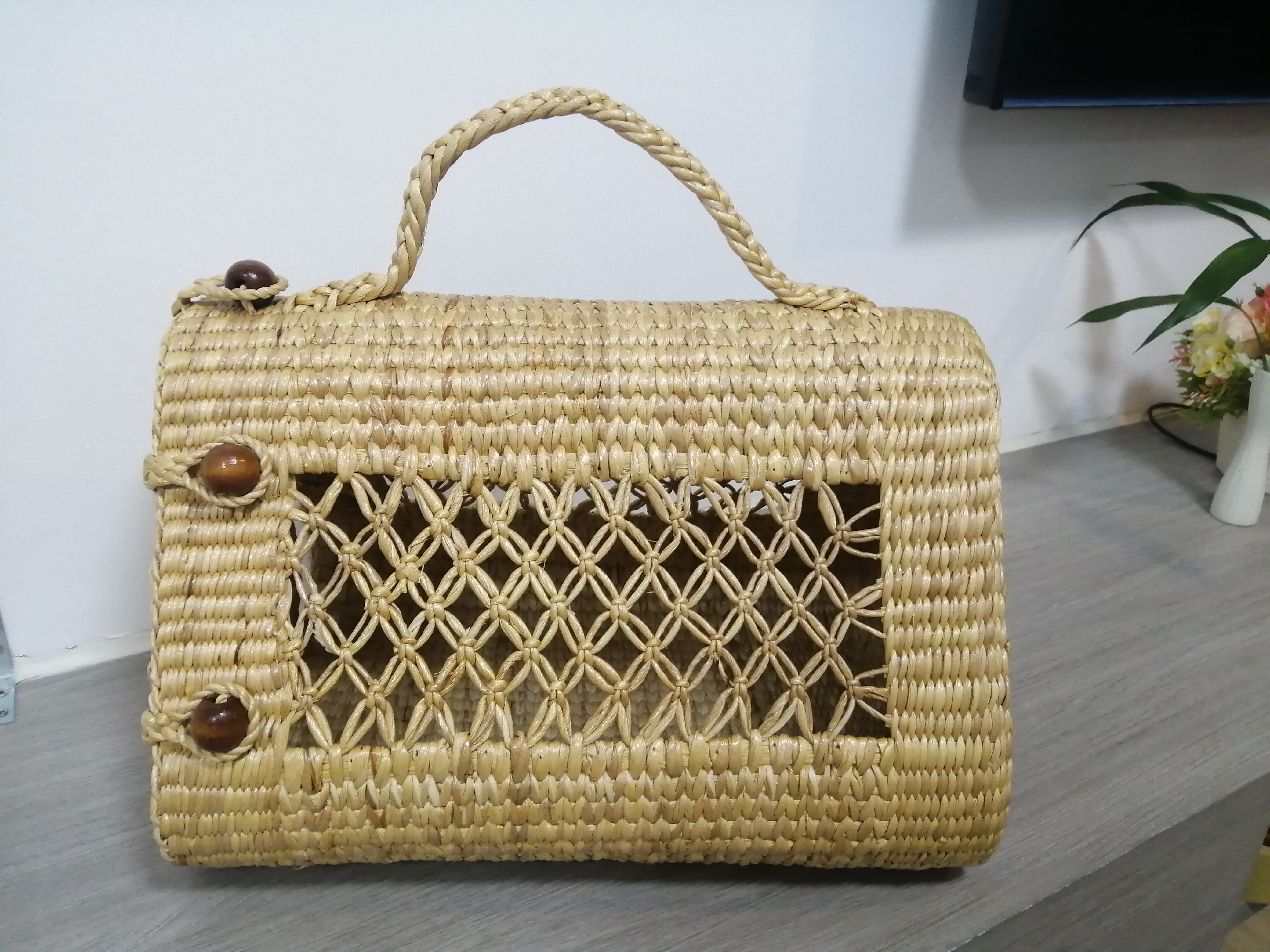 BSS502A :กระเป๋าแมว, กระเป๋าเดินทางแมว ราคาส่ง 3 ใบ