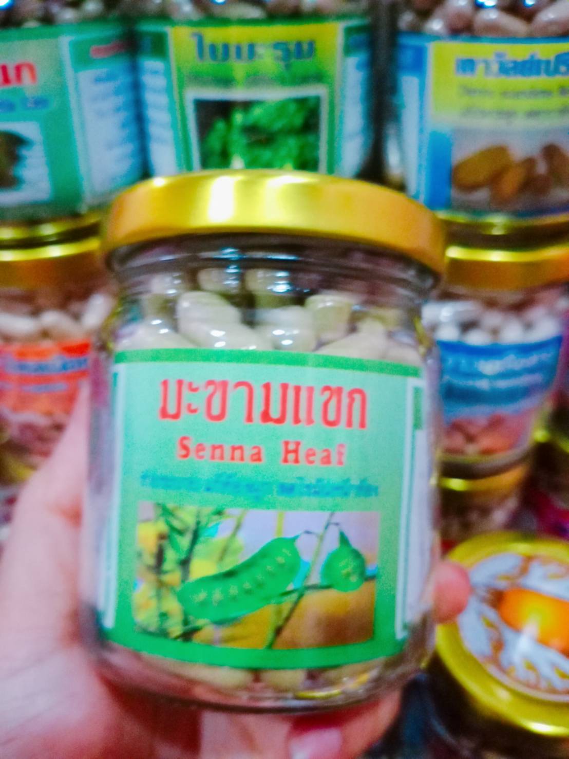 มะขามแขก สมุนไพรพรหมรังสี