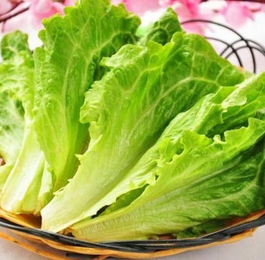 สลัดผักกาดเขียว (Green Lettuce) / 400 เม็ด (S001)