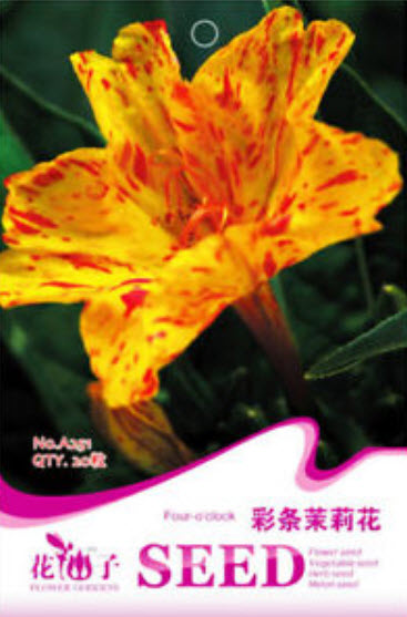 บานเย็น (Mirabilis Jalapa) สีด่าง คละ / ซอง 20 เม็ด (A251)
