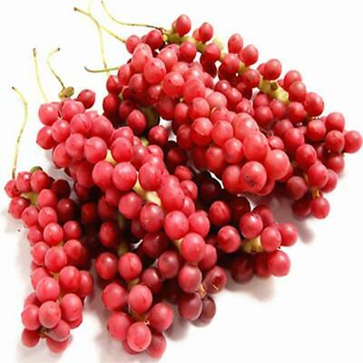 ชิแซนดร้า เบอรี่ (Schisandra berry) / 25 เม็ด (China)
