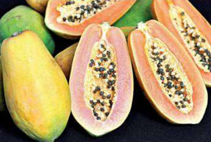 มะละกอ ขอนแก่น 80 / 10 เม็ด (P2S)