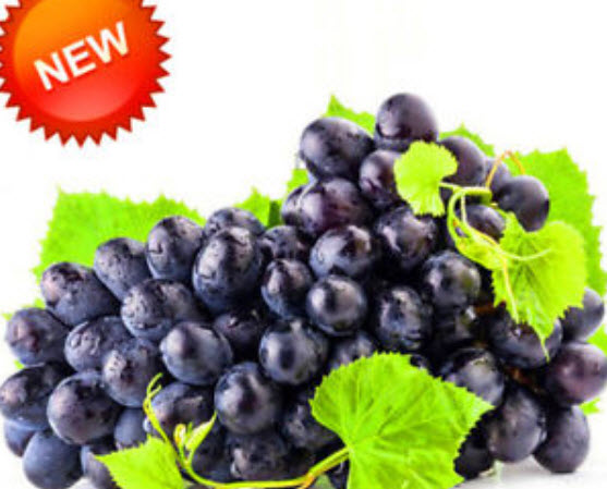 องุ่นดำเคียวโฮ (Kyoho Grape) ไร้เมล็ด / 100 เม็ด