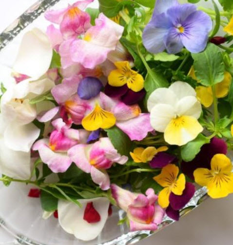 ชุดรวมดอกไม้กินได้ / น.น. 3 กรัม (Poland)