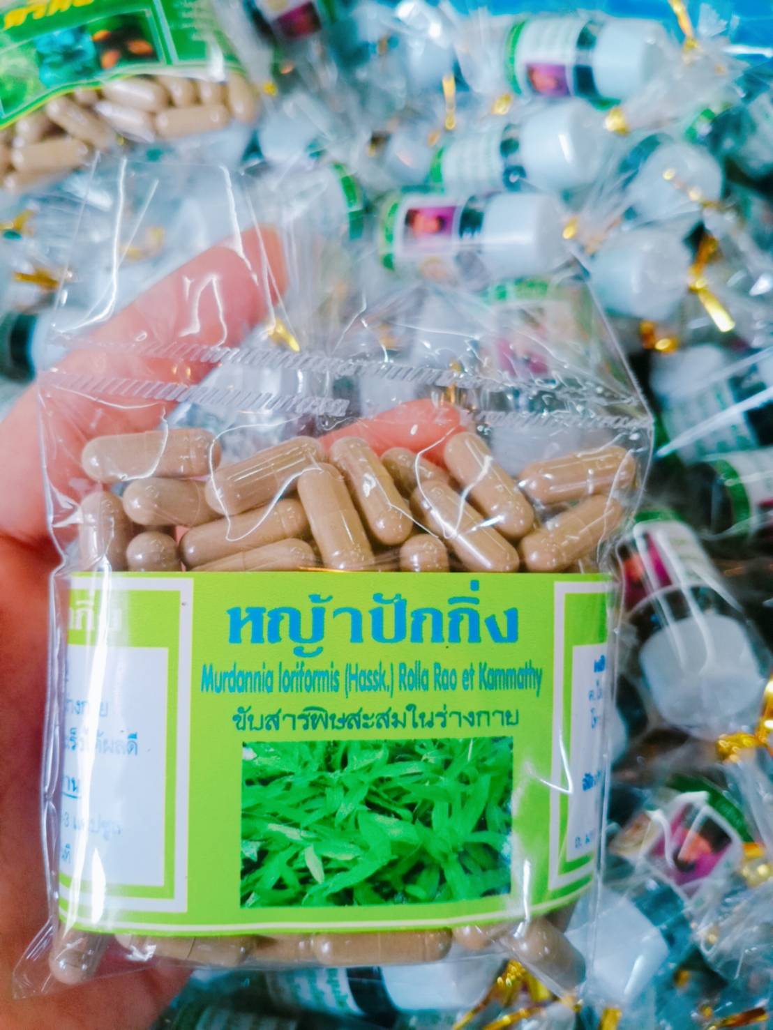 หญ้าปักกิ่ง พรหมรังสี