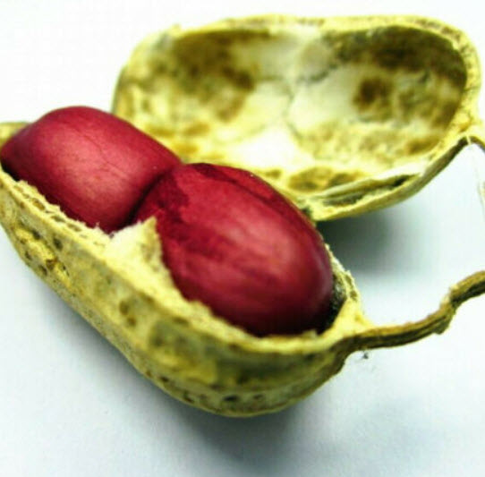 ถั่วลิสง (Groundnut Peanut) คละ / 10 เม็ด (นอก)