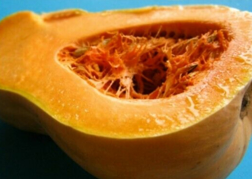 ฟักบัทเตอร์นัท (Butternut pumpkin / Butternut squash) / 10 เม็ด (Greece)