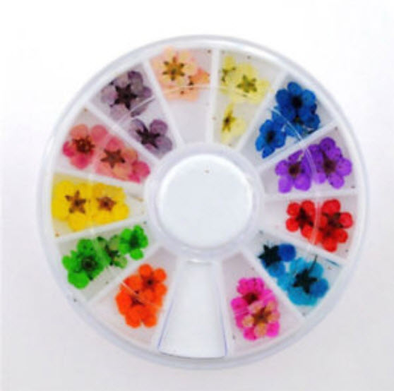 ตลับดอกไม้แห้งจริงแต่งเล็บ 3 มิติ / ตลับ 12 สี (นอก)