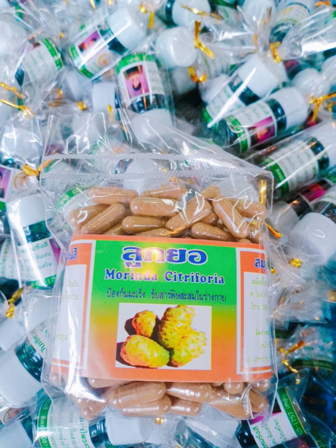 ลูกยอ พรหมรังสี