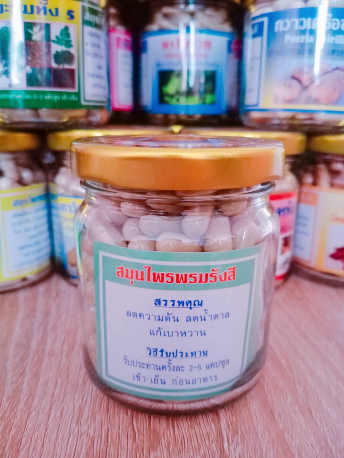 มะระขี้นก พรหมรังสี