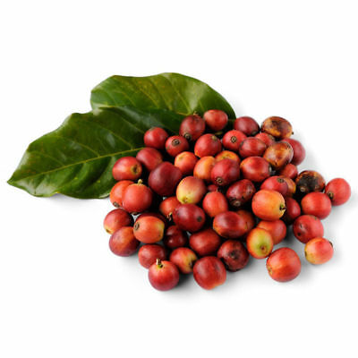 กาแฟ ฮาวาเอียน โคน่า (Hawaiian Kona Coffee) / 100 เม็ด